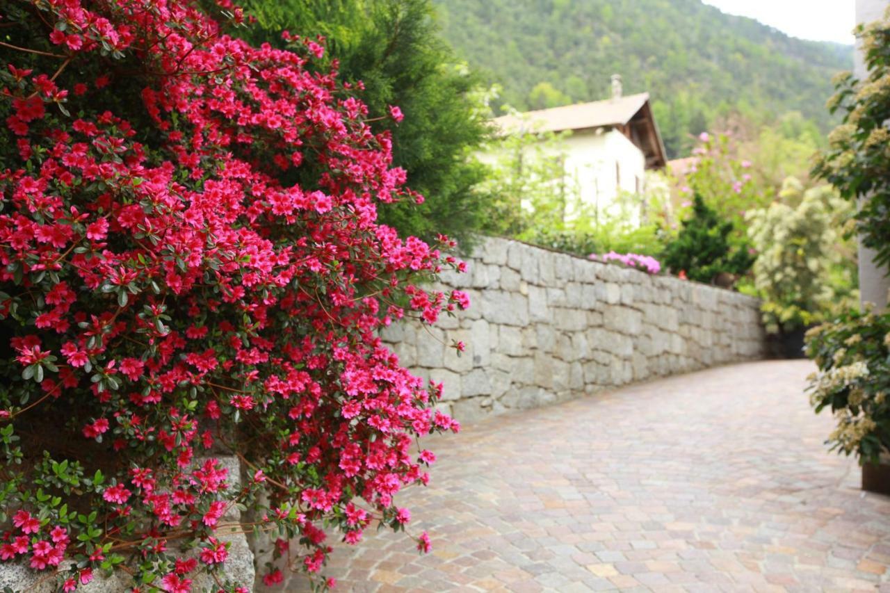 Fixlhof Apartment Rifiano Exterior photo